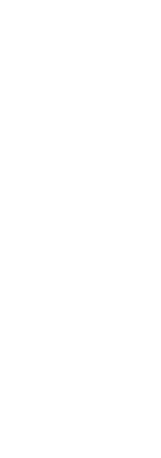 和牛肉そうめん　野菜とジュレ