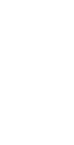 タレイチボ・ハラミ