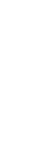 和牛サーロインと自然薯のすき焼き