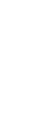 特選黒毛和牛雌牛サーロイン／フィレ