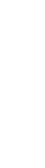 和牛テールと牛すじの煮込みカレー